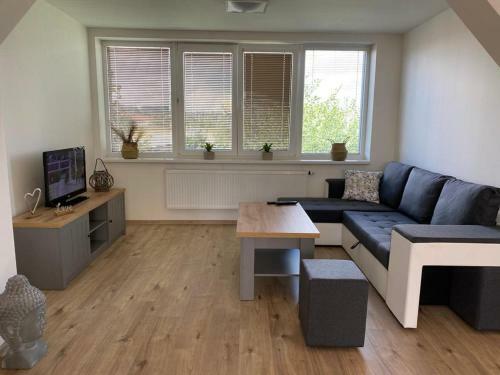 Apartm�ny ?ern� Tulip�n #5