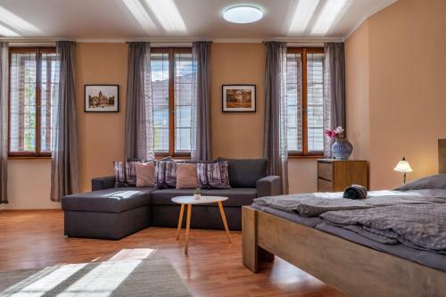 Apartm�ny V Ml�nsk� Strouze
