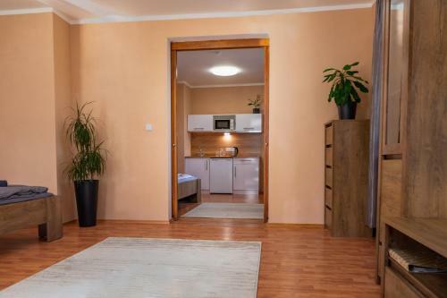 Apartm�ny V Ml�nsk� Strouze