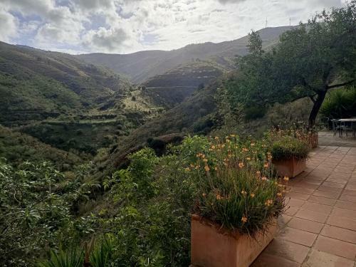 Villa Cortijo Vacas Gordas