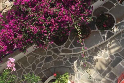 Inge's Haus Lefkes
