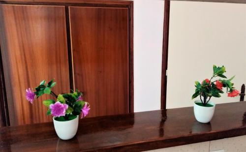 Angelicas Apartments In Kavos Corfu