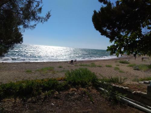 Right Next To The Sea 2