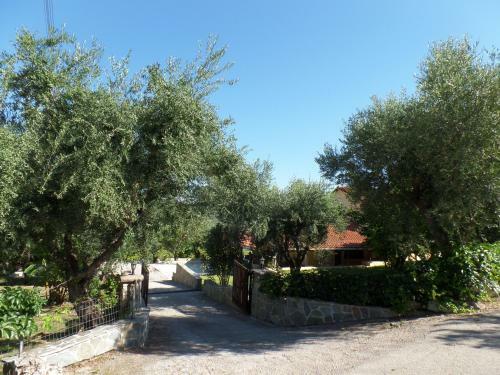 Holiday House Zakynthos
