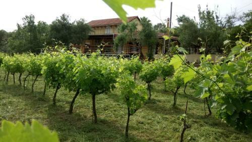 Holiday House Zakynthos