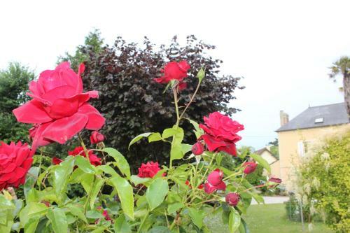 Bed & Breakfast Chambres D'h�tes La Gloriette