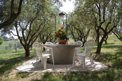 Apartamento Il Giardino Degli Ulivi