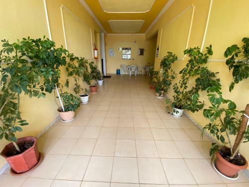 Apartamento Kiparisiou Studios