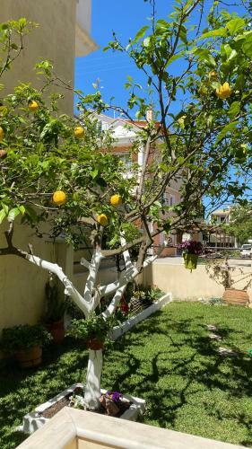 Apartamento Lefkada Blue