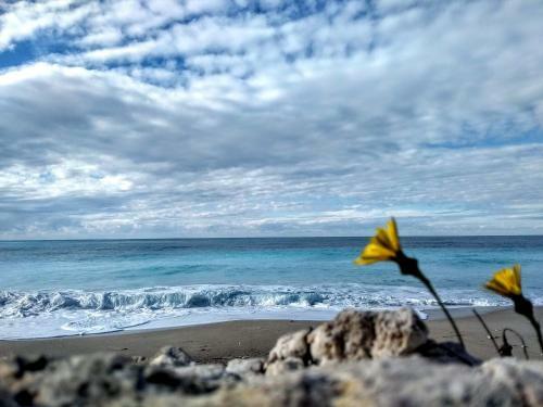 The Paradise Of Katerina
