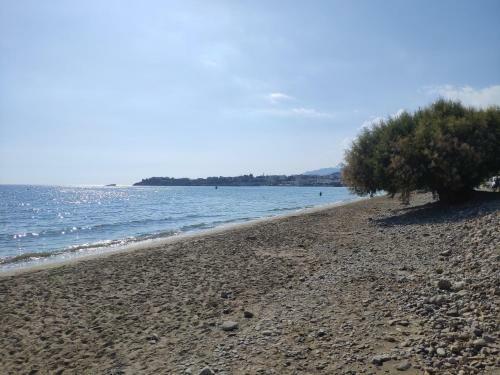 Studio & Apartment By The Beach