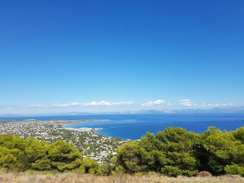 Charming Traditional Hideaway