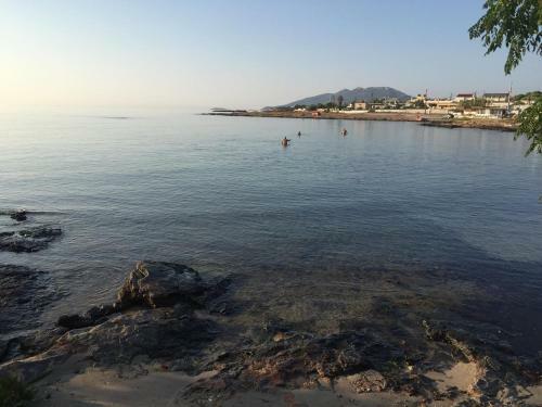 Yoga Euphoria Seaside Apartment