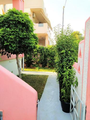 Urban Nature