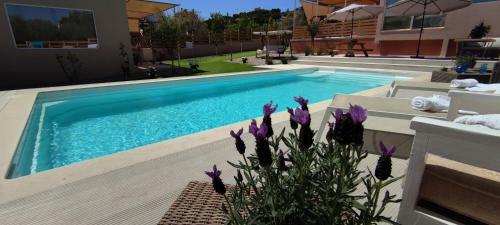 Modular Bungalows Vravrona Artemis Greece