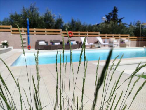 Modular Bungalows Vravrona Artemis Greece