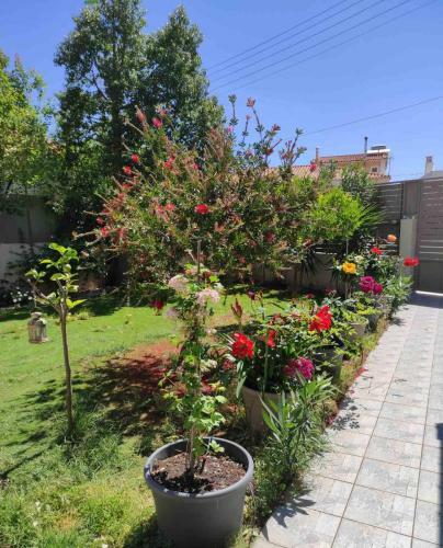 Hostal Sun Garden Apartments
