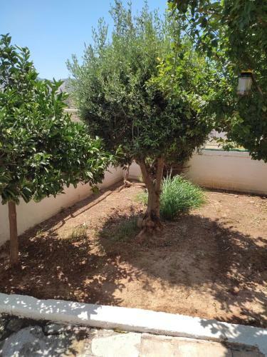 Apartamento Double M Near Athens Airport