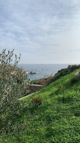 Apartamento Elefthia Syros Exclusive Suite