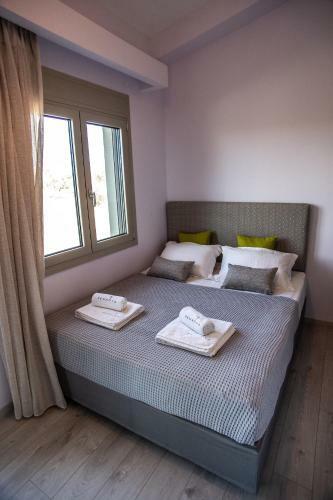 Zennova #20 Villa Melezin