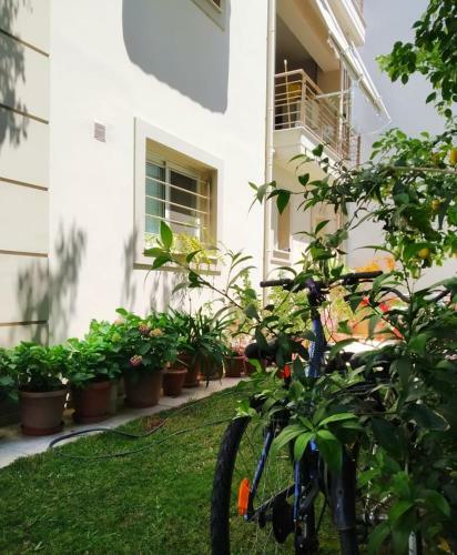 Apartamento Xrysa's Garden