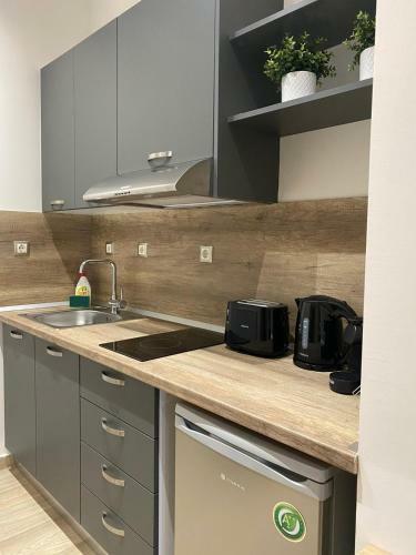 11 Luxury Apartments Metsovo.