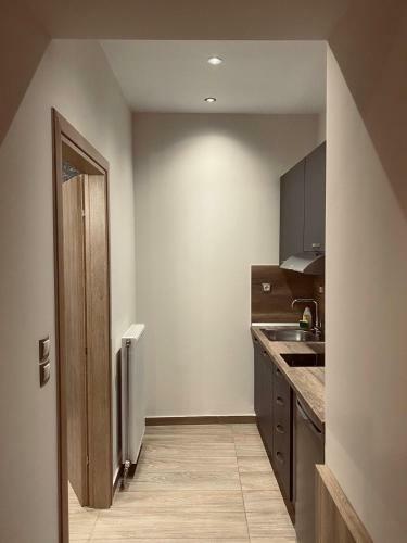 11 Luxury Apartments Metsovo.