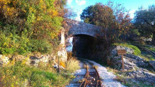 The Fountainhead Pelion