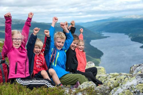 Apartamento Mountain Lodge, Topptrysil 6+1 Guest -skihytta