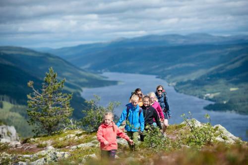 Apartamento Mountain Lodge, Topptrysil 6+1 Guest -skihytta