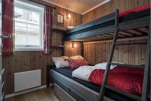Apartamento Mountain Lodge, Topptrysil 6+1 Guest -skihytta