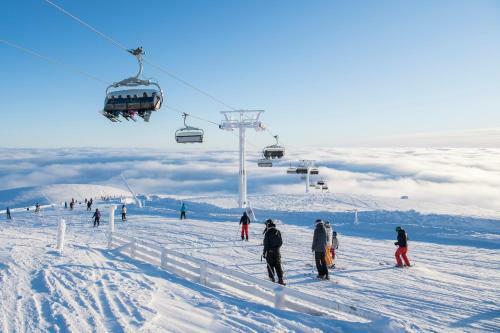 Apartamento Mountain Lodge, Topptrysil 6+1 Guest -skihytta