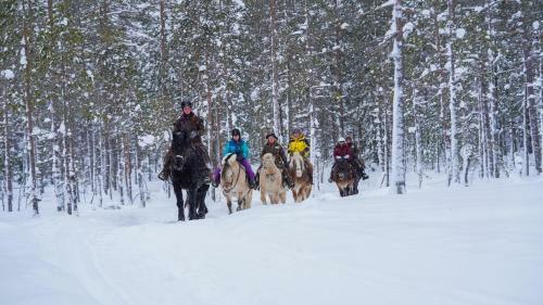 Apartamento Mountain Lodge, Topptrysil 6+1 Guest -skihytta