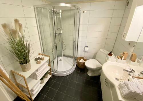 Two Bedroom Apartment Near The City Centre.