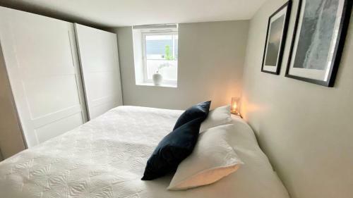 Two Bedroom Apartment Near The City Centre.