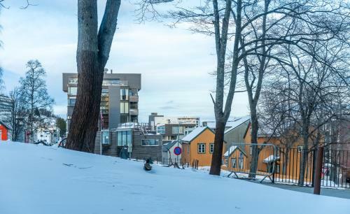 Apartamento Arctic Homes - King's Park