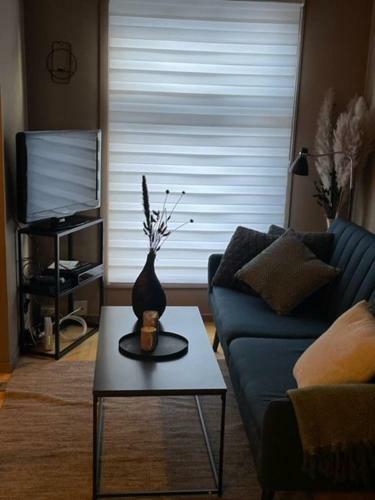 Apartamento 2 Roms Leilighet I N�rheten Av Troms� Sentrum.