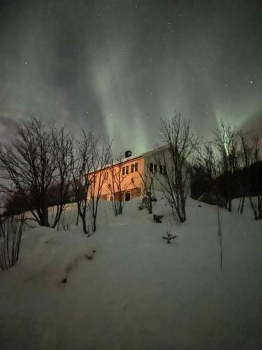 Wilderness House