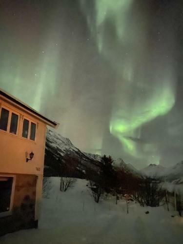 Wilderness House