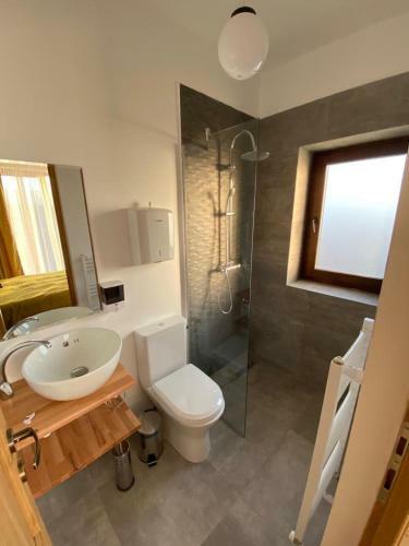 Hostal Pensiunea Roa