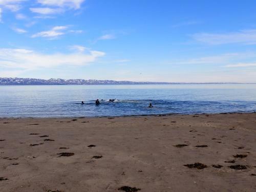 Apartamento Jakobselvkaia