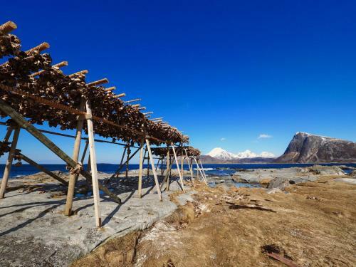 Vestfjorden Panorama Lofoten