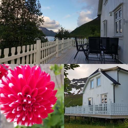 Pilan Lodge Lofoten