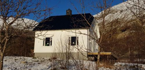 Pilan Lodge Lofoten