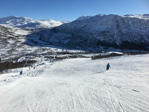 Oppheim-myrkdalen Privat Hytte