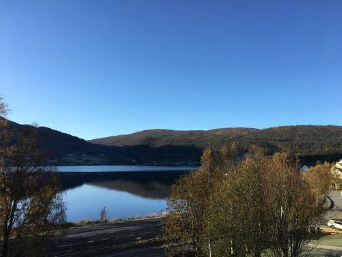 Oppheim-myrkdalen Privat Hytte
