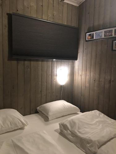 Oppheim-myrkdalen Privat Hytte