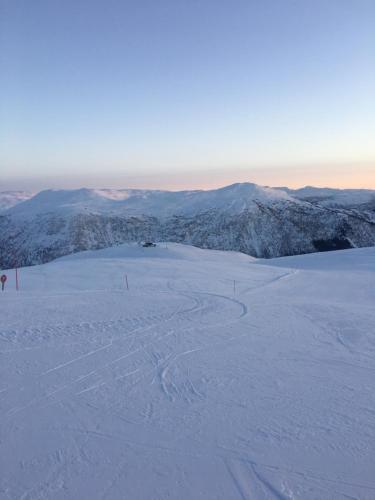 Oppheim-myrkdalen Privat Hytte