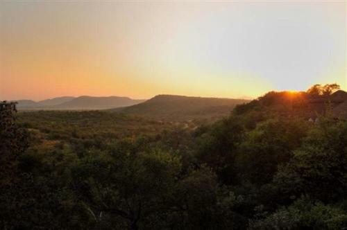 Buffalo Ridge Safari Lodge