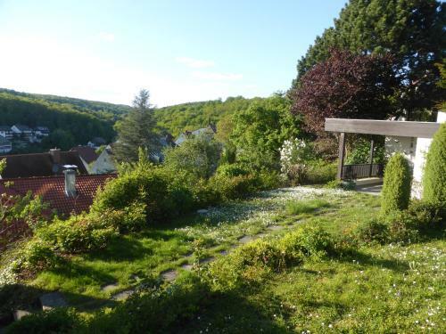 Apartamento Ferienwohnungen Am Forsthaus